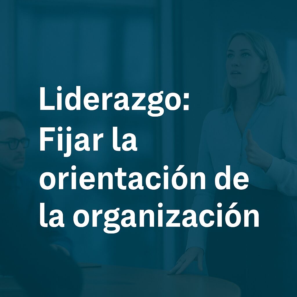 Liderazgo: Fijar la orientación de la organización