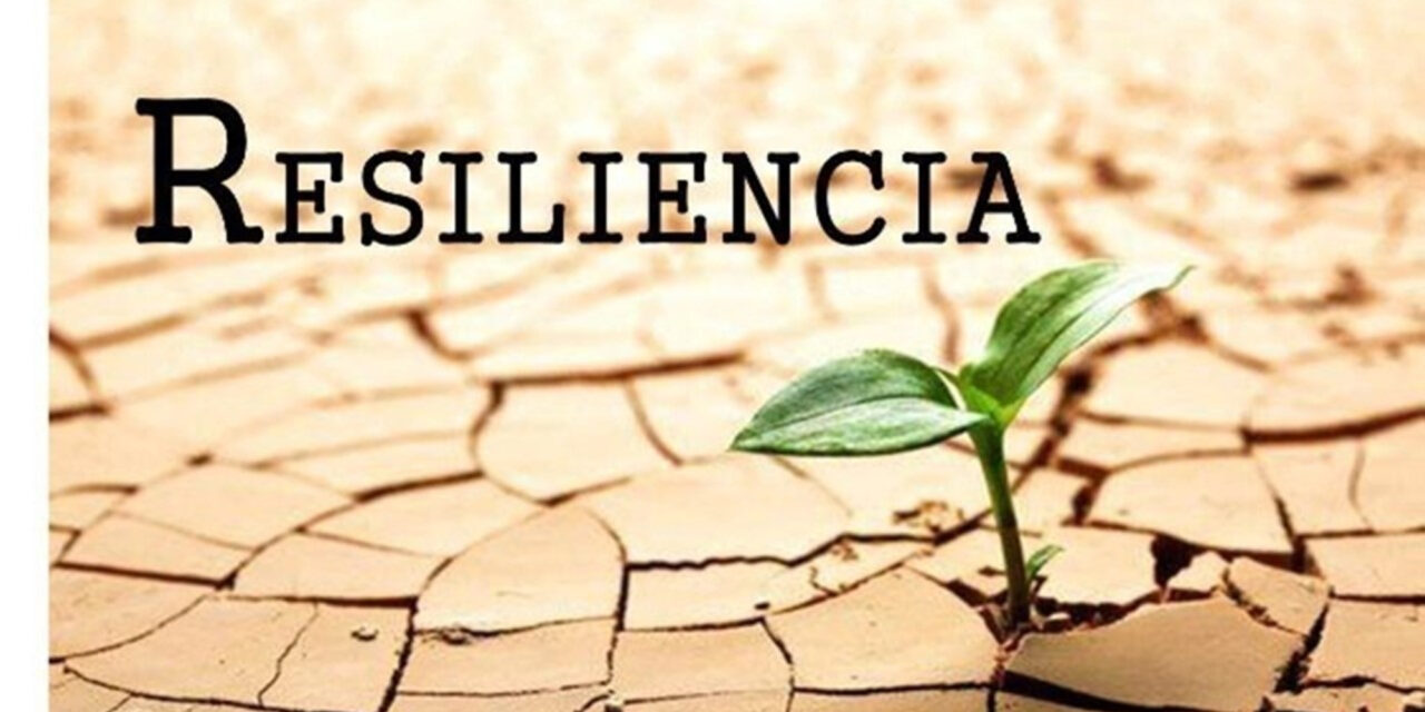 Cómo desarrollar resiliencia