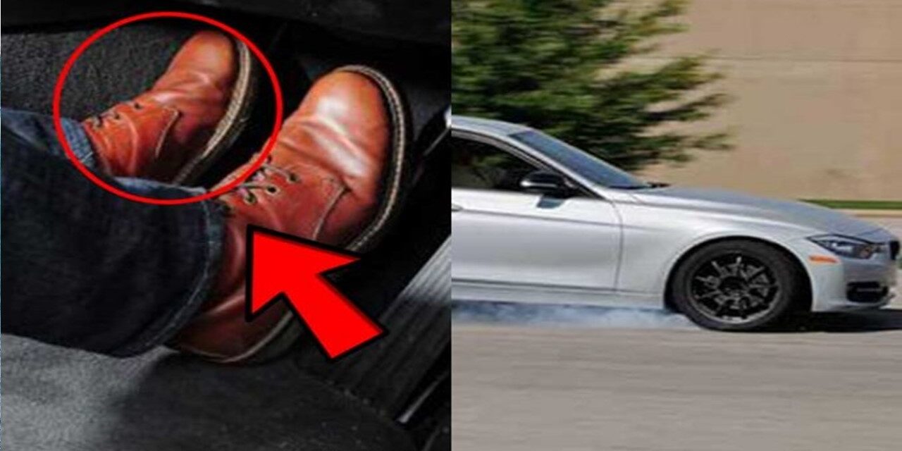 La resistencia al cambio vista como preservadora de la estabilidad y la vida del sistema