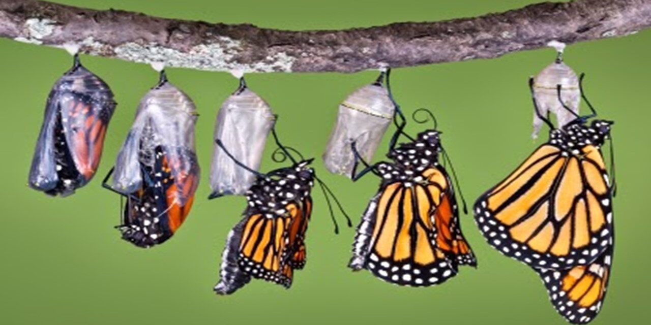 El cambio real opera de adentro hacia afuera