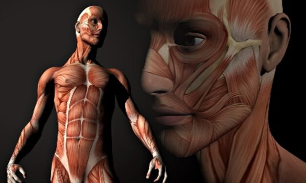 El lenguaje del cuerpo: el lenguaje de la vida