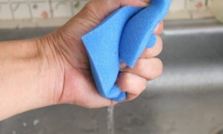 El efecto esponja en el proceso educativo