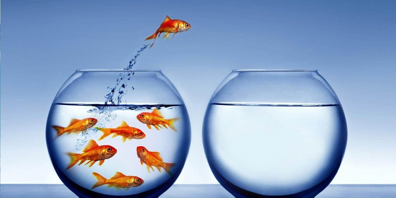 El cambio efectivo requiere liderazgo de sí mismo