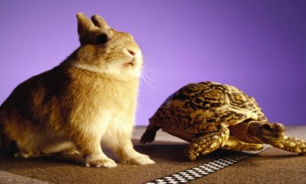 El valor de la perseverancia