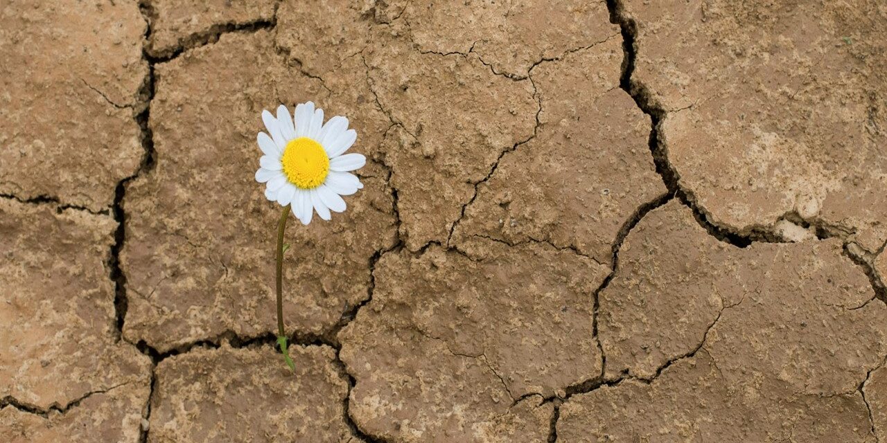 7 Verdades para crecer y madurar en tiempos de pandemia